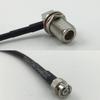 12 inch 30cm RG316 N Female Bulkhead Angle to MiniBNC Male Pigtail Jumper RF coaxial Cable 50 ohm Quick USA Shipping view 1