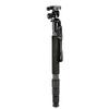 GOWE Portable Lightweight Carbon Fiber Professional Camera Monopod + L10 Tripod Head + with Bag for Canon Nikon Sony DSLR view 1