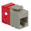 BIN ICC Cat6 Insert Module, HD, Gray (IC1078F6GY) view 1