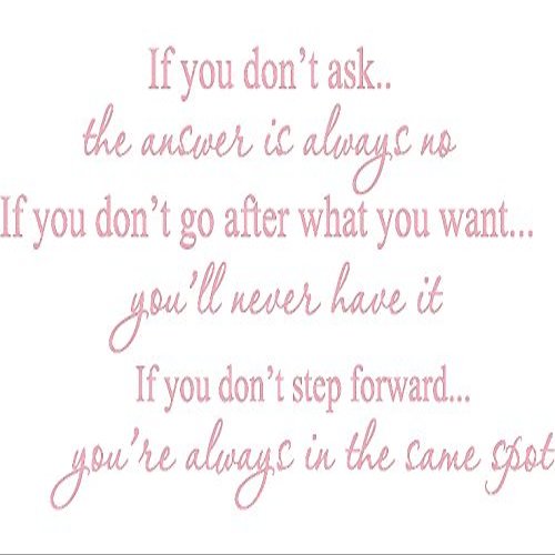 Decalgeek if You Don't Ask Vinyl Wall Art Pink20'' X 40''