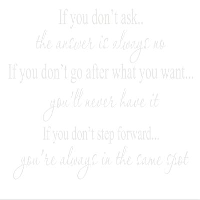 Decalgeek if You Don't Ask Vinyl Wall Art Matte White12'' X 22.5''