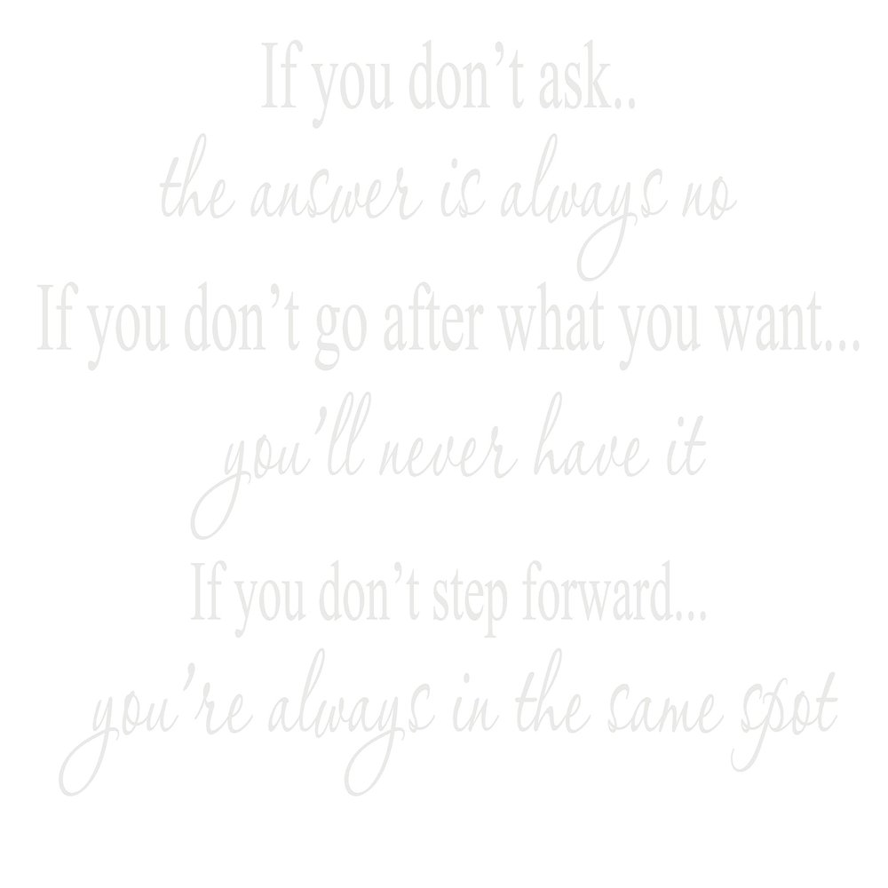 Decalgeek if You Don't Ask Vinyl Wall Art Matte White12'' X 22.5''