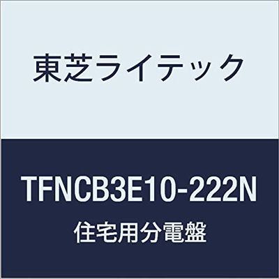 Toshiba Lighttech Small Residential Power Distribution Board N Series 100A 22-2 with Doors, Mounting Space Included for Mounting Devices Basic Type TFNCB3E10-222N