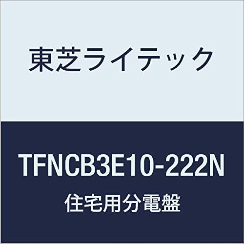 Toshiba Lighttech Small Residential Power Distribution Board N Series 100A 22-2 with Doors, Mounting Space Included for Mounting Devices Basic Type TFNCB3E10-222N