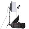 GOWE 2X 250W Studio Flash Lighting Kit 500W Strobe Flash Light Portrait Fashion Advertisement Object Photography Set view 1