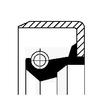 Corteco 19035128b Ring view 1