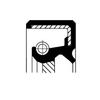 Corteco 19035250B Ring view 1