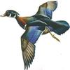 4 Inch Duck Hunting Ducks Hunter Mallard Hunt Waterfowl Removable Peel Self Stick Wall Decal Sticker Art Rustic Lodge Cabin Outdoor Wildlife Home Decor 4 1/2 inch Wide by 4 inch Tall view 1