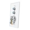 Skywalker Wall Plate w/Dual 3.0Ghz F-81 and Phone Connector (White) view 4