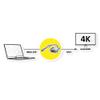 Rotronic ROLINE Gold Mini Displayport DVI Adapter with Cable | Mini-DP St - DVI Bu | 0.10 m view 3