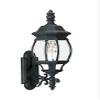 Generation Lighting 88201EN-12 Wynfield Outdoor Wall Sconce, 2-Light 7 Total Watts, Black view 1