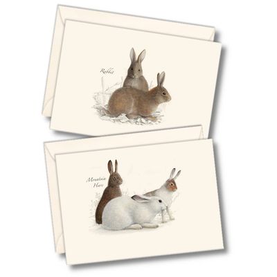 Earth Sky + Water - Rabbit & Hare Assortment Notecard Set - 8 Blank Cards with Envelopes (4 each of 2 styles)