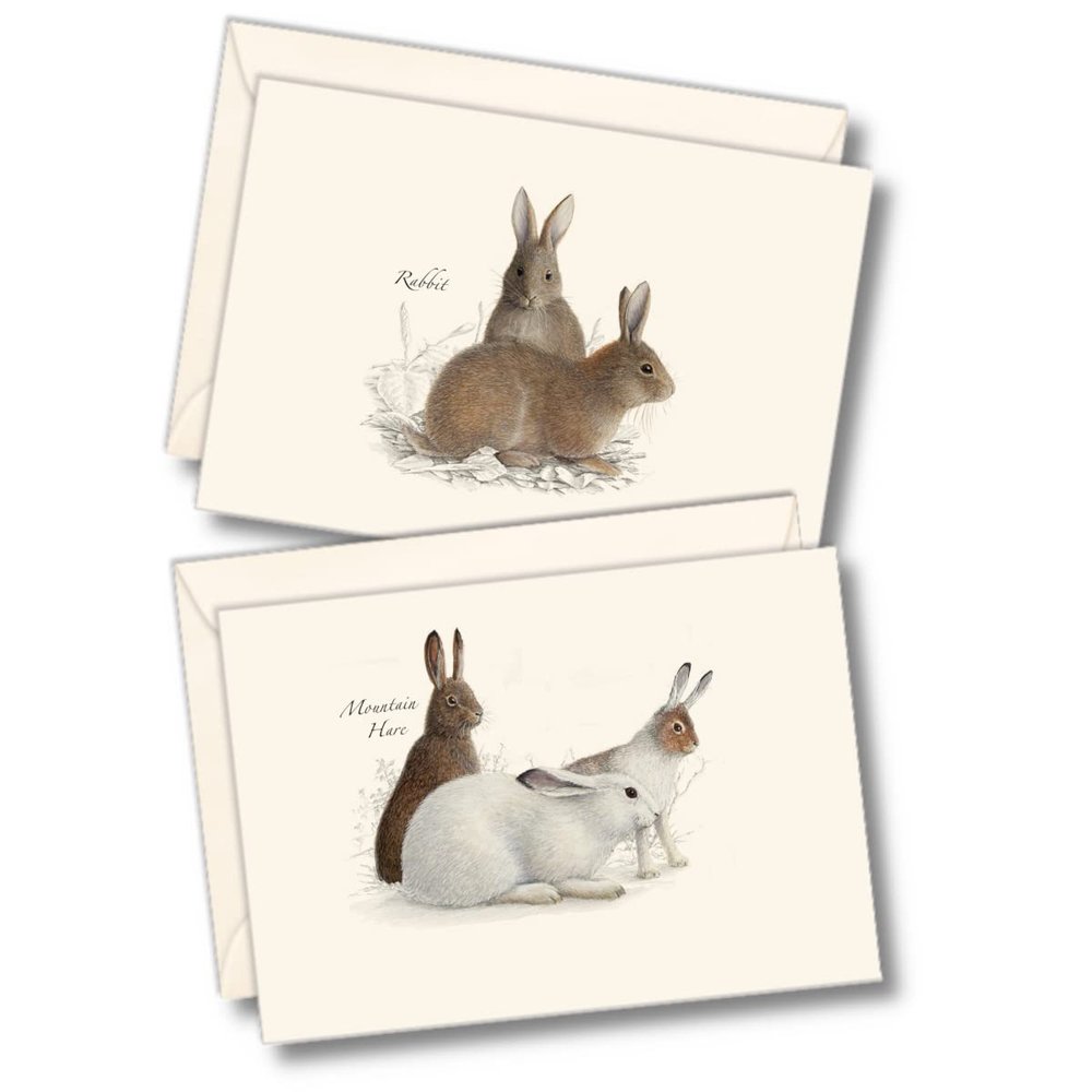 Earth Sky + Water - Rabbit & Hare Assortment Notecard Set - 8 Blank Cards with Envelopes (4 each of 2 styles)
