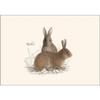 Earth Sky + Water - Rabbit & Hare Assortment Notecard Set - 8 Blank Cards with Envelopes (4 each of 2 styles) view 3