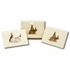 Earth Sky + Water - Rabbit & Hare Assortment Notecard Set - 8 Blank Cards with Envelopes (4 each of 2 styles) view 4