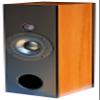 The Canoe Two-Way nearfield Transmission line Desktop Speaker, Satin Black and Natural Birch Real Wood Veneer (Each) view 1