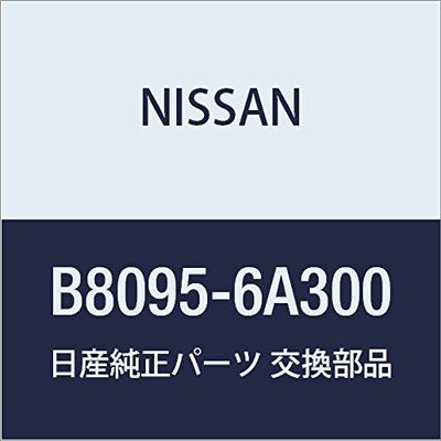 NISSAN (Nissan) Nissan Genuine Parts excisional Antenna TV B8095-6A300
