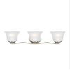 Generation Lighting 3-Light Emmons Traditional Bath Fixture Wall Lamp Brushed Nickel 4439003-962, Bathroom Light Fixture for Home Dcor, Wall Sconce Vanity Light Fixture and Bathroom Accessory view 3