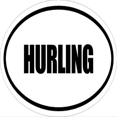 Beach Graphic Pros 3" Printed Euro Style Oval Hurling Decal Sticker dcor Great for Mugs Phone Case Helmet and Hard Hats.