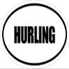 Beach Graphic Pros 3" Printed Euro Style Oval Hurling Decal Sticker dcor Great for Mugs Phone Case Helmet and Hard Hats. view 1