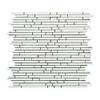 Thassos White Greek Marble Bamboo Sticks (Single Color) Mosaic Tile, Honed view 1