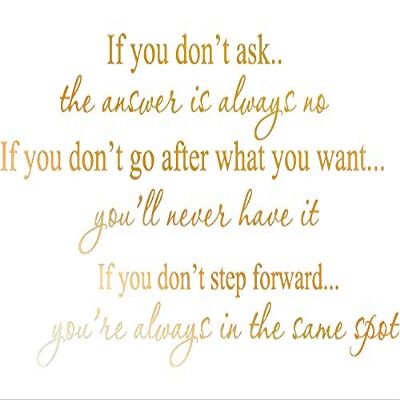 Picniva Gold(Chrome Mirror) Decalgeek if You Don't Ask Vinyl Wall Art 12'' X 22.5''
