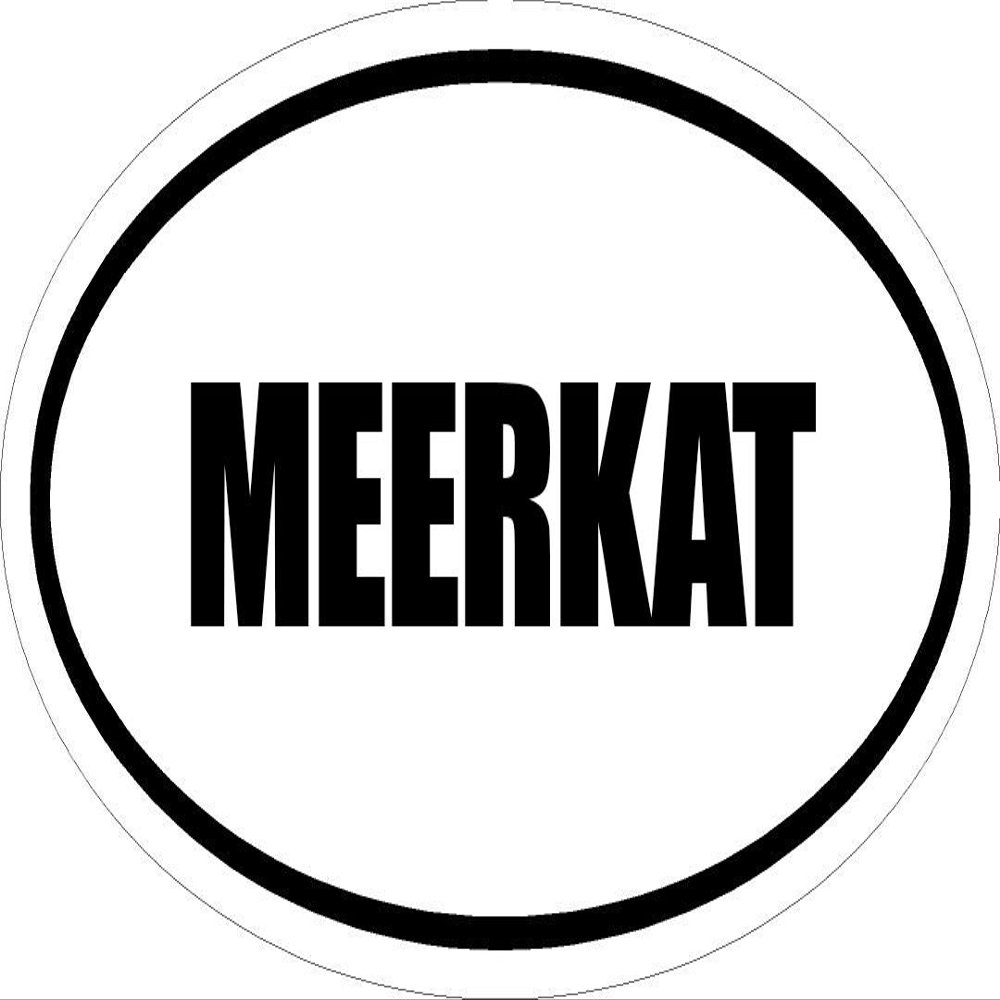 Beach Graphic Pros 3" Printed Euro Style Oval Meerkat Decal Sticker dcor Great for Mugs Phone Case Helmet and Hard Hats.