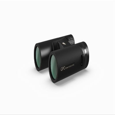 GPO German Precision Optics Passion ED 8x32mm Schmidt-Pechan Prism Binoculars, Lightweight Binocular for Hunting, Wildlife Observation or Sports, Black Magnesium Micro-Bridge & Body (B300)