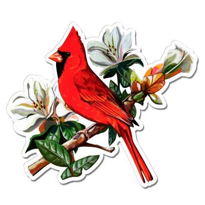 Cardinal - 5" Vinyl Sticker - for Car Laptop I-Pad - Waterproof Decal