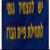 Faucet Sink Cover and Protector For Passover (One Handle) view 2