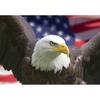 wall26 - Bald Eagle with American Flag, Focus on Head (Clipping Path) - Removable Wall Mural | Self-Adhesive Large Wallpaper - 66x96 inches view 2