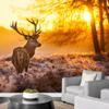 wall26 - Red Deer in Morning Sun - Removable Wall Mural | Self-Adhesive Large Wallpaper - 66x96 inches view 3