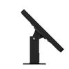 VidaMount Black Home Button Covered Enclosure and Rotating & Tilting Desk/Table Mount [Bundle] Compatible with iPad 2/3/4 view 4