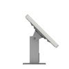 VidaMount Light Grey Home Button Covered Enclosure and Rotating & Tilting Desk/Table Mount [Bundle] Compatible with iPad mini 1/2/3 view 4