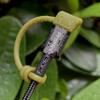 [5-Piece] Cozy USB Caps for USB C Cable - Tether/Cap Provides Dust and Oxidation Protection, Projection Adapter Cover, Protects During Travel, Portable, Designed by Cozy (Black) view 3