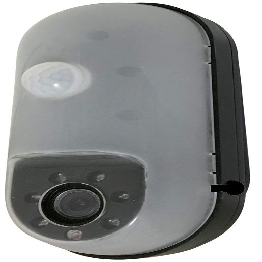 SD Recording Built-in Sensor Camera SD1000