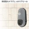 SD Recording Built-in Sensor Camera SD1000 view 4