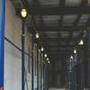 Hang-A-Light 100' String Light & 14/3 SJTW Cord x10 1 500 Lumen LED Bulb view 3