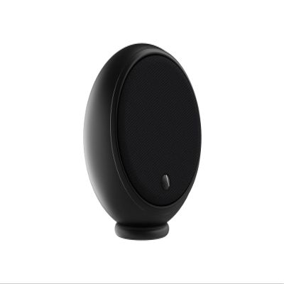 Gallo Acoustics Micro SE Loudspeaker Matte Black