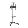 Equip 650603 Base da pavimento per tv a schermo Piatto 177,8 cm (70") Portable Flat Panel Floor Stand Nero view 1