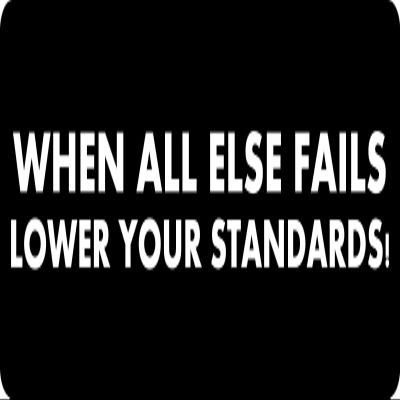1080 Graphics 3 - When All Else Fails Lower Your Standards Hard Hat/Biker Helmet Sticker BS 947
