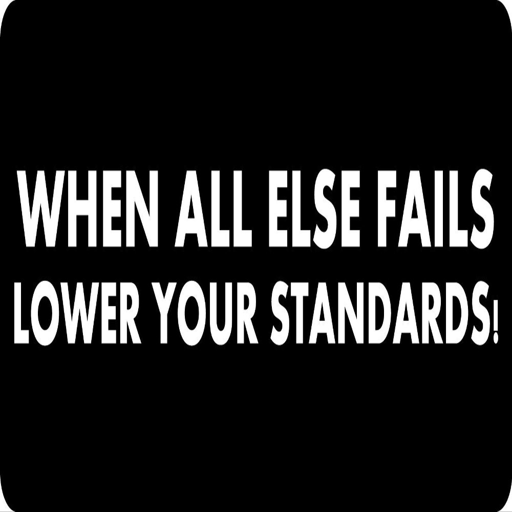 1080 Graphics 3 - When All Else Fails Lower Your Standards Hard Hat/Biker Helmet Sticker BS 947