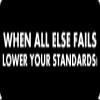 1080 Graphics 3 - When All Else Fails Lower Your Standards Hard Hat/Biker Helmet Sticker BS 947 view 1