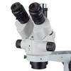AmScope 7X-90X Simul-Focal Stereo Boom Stand Microscope with a Fluorescent Light view 3