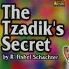 The Tzaddik's Secret CD view 2