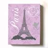 Modern Paris Eiffel Tower - Unique Paisley & Lovebirds Stretched Canvas Nursery Decor - Wall Art that Makes a Memorable Baby Gift - Wooden Frame Construction - Ready to Hang 11X14 view 1