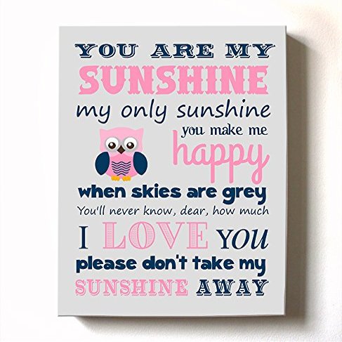 Adorable You are My Sunshine Bedtime Story Rhyme - Woodland Owl Design - Stretched Canvas Nursery Wall Art Decor - Baby Gift idea - Wooden Frame Construction - Ready to Hang 10X12
