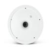 JBL Professional Control 19CST 8-Inch Ceiling Subwoofers, with Transformer Taps, Sold as Pair,White view 3