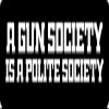 1080 Graphics 3 - A Gun Society is A Polite Society Hard Hat/Biker Helmet Sticker BS 635 view 1