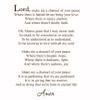 Make Me a Channel of Your Peace Vinyl Wall Decal St. Francis Quote Inspirational Prayer VWAQ-SFQ101 (Matte Brown) view 1